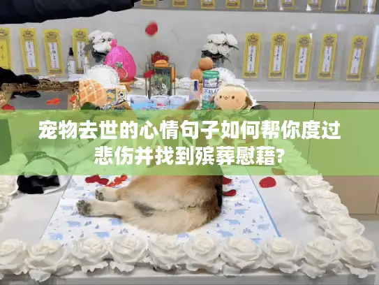 宠物去世的心情句子如何帮你度过悲伤并找到殡葬慰藉?