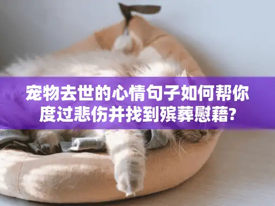 宠物去世的心情句子如何帮你度过悲伤并找到殡葬慰藉?