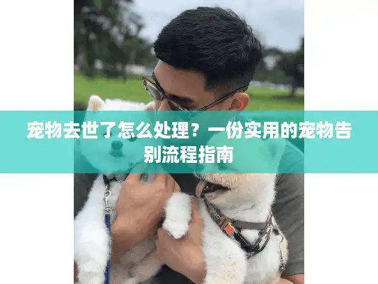 宠物去世了怎么处理？一份实用的宠物告别流程指南