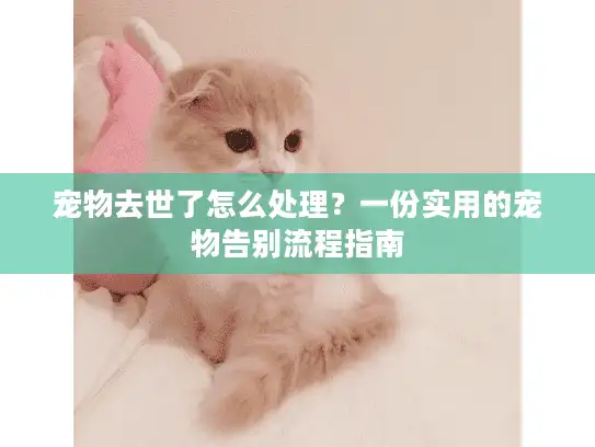 宠物去世了怎么处理？一份实用的宠物告别流程指南