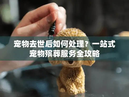 宠物去世后如何处理？一站式宠物殡葬服务全攻略