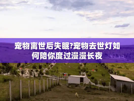 宠物离世后失眠?宠物去世灯如何陪你度过漫漫长夜