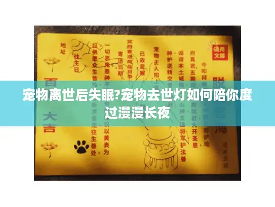 宠物离世后失眠?宠物去世灯如何陪你度过漫漫长夜