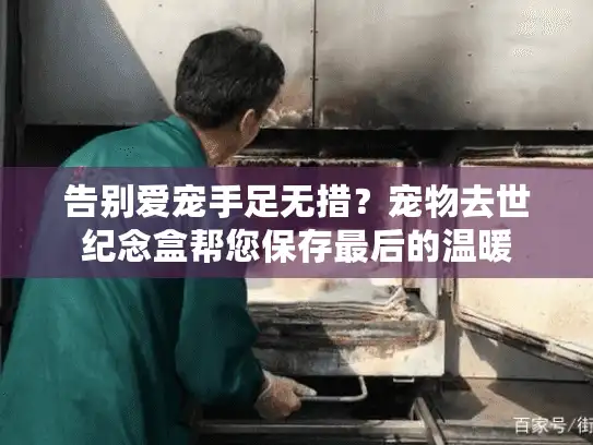 告别爱宠手足无措？宠物去世纪念盒帮您保存最后的温暖