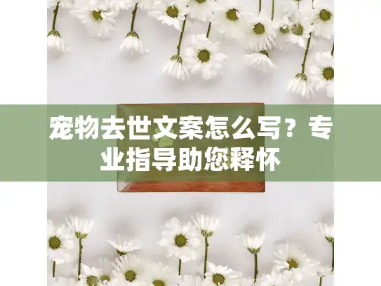 宠物去世文案怎么写？专业指导助您释怀