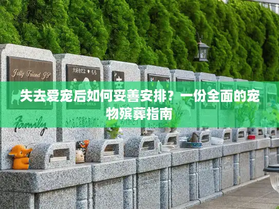 失去爱宠后如何妥善安排？一份全面的宠物殡葬指南