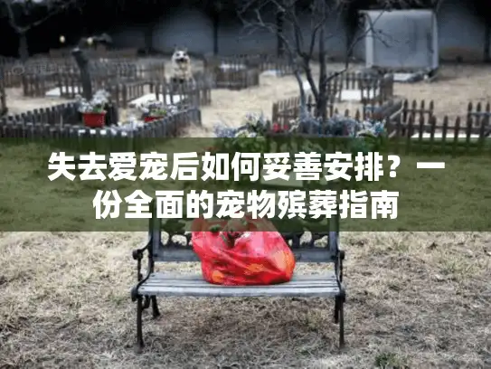 失去爱宠后如何妥善安排？一份全面的宠物殡葬指南
