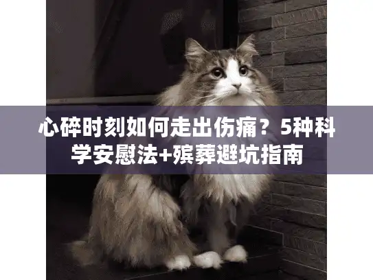 心碎时刻如何走出伤痛？5种科学安慰法+殡葬避坑指南