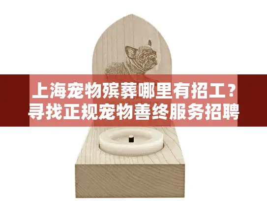 上海宠物殡葬哪里有招工？寻找正规宠物善终服务招聘信息的实用指南