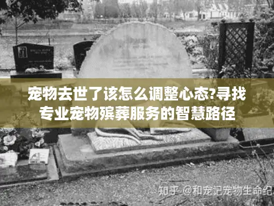 宠物去世了该怎么调整心态?寻找专业宠物殡葬服务的智慧路径