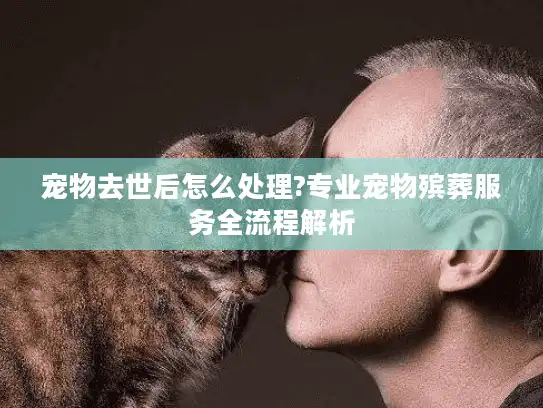 宠物去世后怎么处理?专业宠物殡葬服务全流程解析