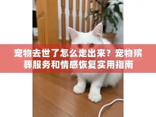 宠物去世了怎么走出来？宠物殡葬服务和情感恢复实用指南
