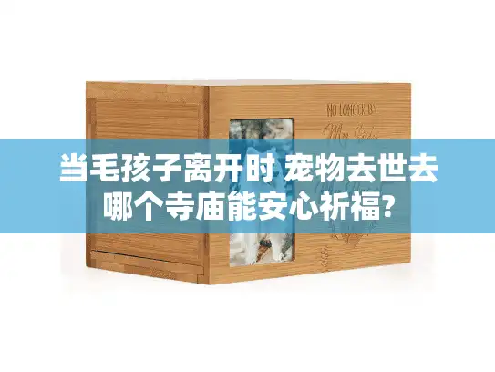 当毛孩子离开时 宠物去世去哪个寺庙能安心祈福?