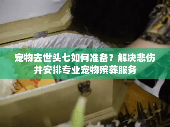 宠物去世头七如何准备？解决悲伤并安排专业宠物殡葬服务