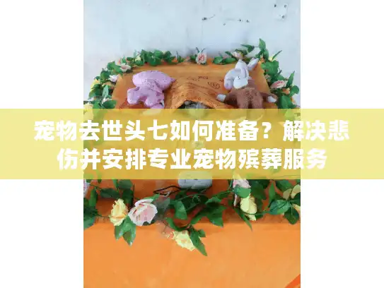 宠物去世头七如何准备？解决悲伤并安排专业宠物殡葬服务