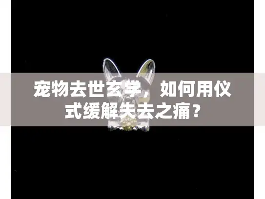 宠物去世玄学，如何用仪式缓解失去之痛？