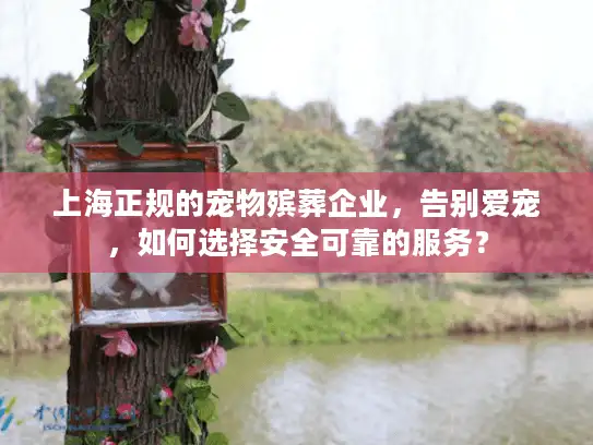 上海正规的宠物殡葬企业，告别爱宠，如何选择安全可靠的服务？