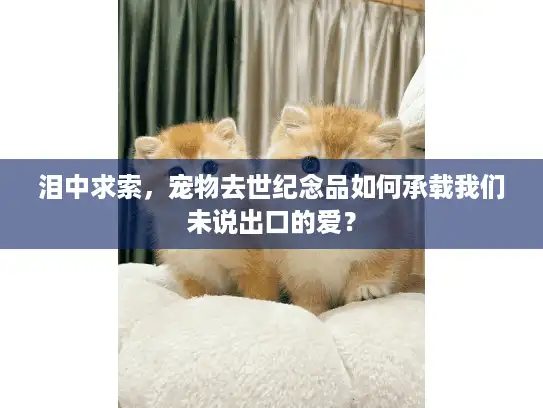 泪中求索，宠物去世纪念品如何承载我们未说出口的爱？