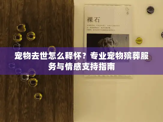 宠物去世怎么释怀？专业宠物殡葬服务与情感支持指南