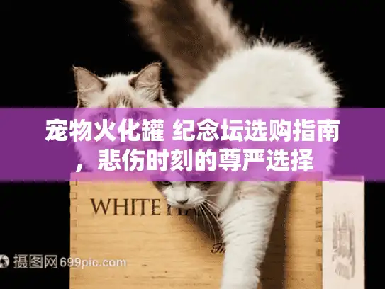 宠物火化罐 纪念坛选购指南，悲伤时刻的尊严选择