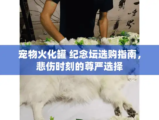 宠物火化罐 纪念坛选购指南，悲伤时刻的尊严选择