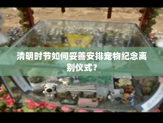 清明时节如何妥善安排宠物纪念离别仪式？