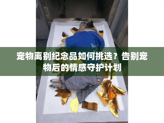 宠物离别纪念品如何挑选？告别宠物后的情感守护计划