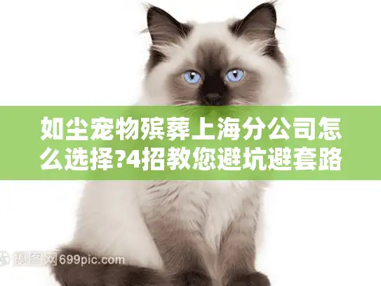 如尘宠物殡葬上海分公司怎么选择?4招教您避坑避套路