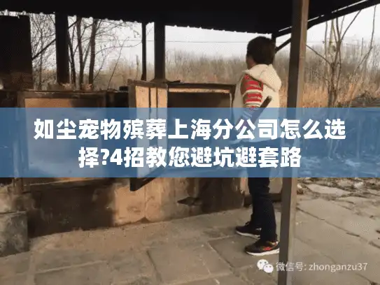 如尘宠物殡葬上海分公司怎么选择?4招教您避坑避套路