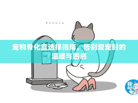 宠物骨化盒选择指南，告别爱宠时的温暖与困惑