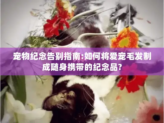 宠物纪念告别指南:如何将爱宠毛发制成随身携带的纪念品?