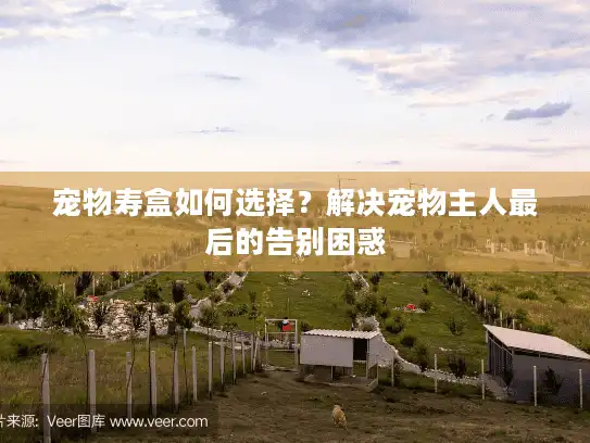 宠物寿盒如何选择？解决宠物主人最后的告别困惑