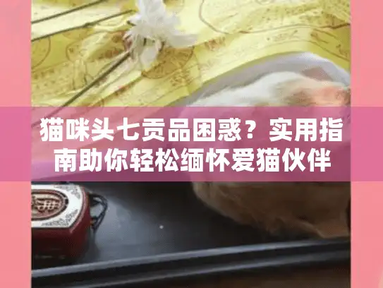 猫咪头七贡品困惑？实用指南助你轻松缅怀爱猫伙伴