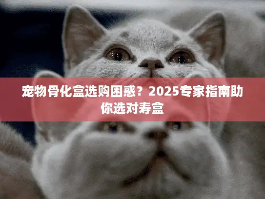 宠物骨化盒选购困惑？2025专家指南助你选对寿盒