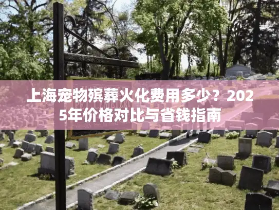 上海宠物殡葬火化费用多少？2025年价格对比与省钱指南