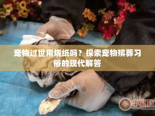 宠物过世用烧纸吗？探索宠物殡葬习俗的现代解答