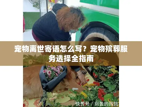 宠物离世寄语怎么写？宠物殡葬服务选择全指南
