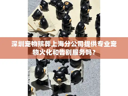 深圳宠物殡葬上海分公司提供专业宠物火化和告别服务吗？