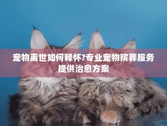 宠物离世如何释怀?专业宠物殡葬服务提供治愈方案