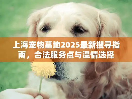 上海宠物墓地2025最新搜寻指南，合法服务点与温情选择