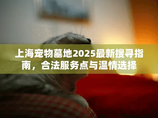 上海宠物墓地2025最新搜寻指南，合法服务点与温情选择