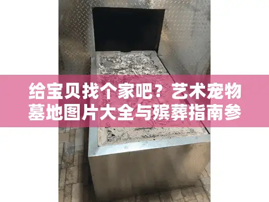 给宝贝找个家吧？艺术宠物墓地图片大全与殡葬指南参考