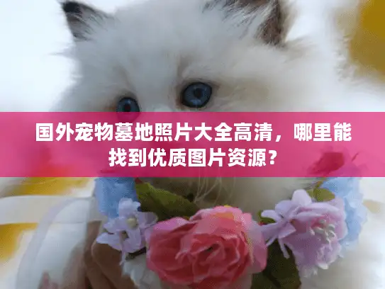 国外宠物墓地照片大全高清，哪里能找到优质图片资源？