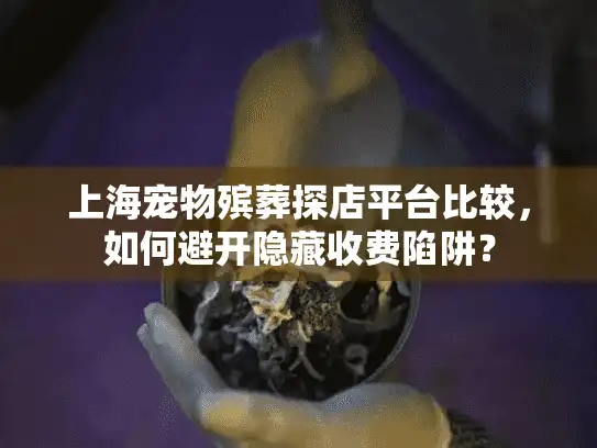 上海宠物殡葬探店平台比较，如何避开隐藏收费陷阱？