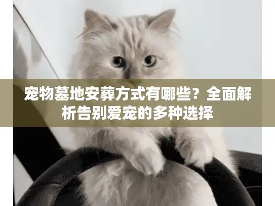 宠物墓地安葬方式有哪些？全面解析告别爱宠的多种选择