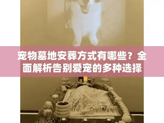 宠物墓地安葬方式有哪些？全面解析告别爱宠的多种选择