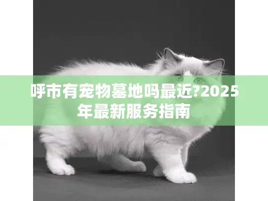 呼市有宠物墓地吗最近?2025年最新服务指南