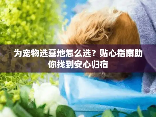 为宠物选墓地怎么选？贴心指南助你找到安心归宿