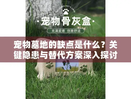 宠物墓地的缺点是什么？关键隐患与替代方案深入探讨