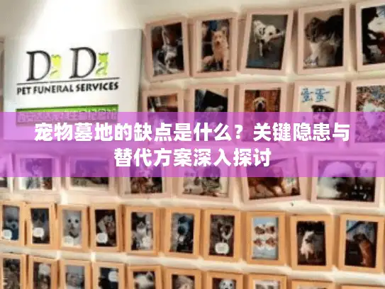 宠物墓地的缺点是什么？关键隐患与替代方案深入探讨